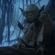 You’ll learn more about Yoda in The Empire Strikes Back: From a Certain Point of View.